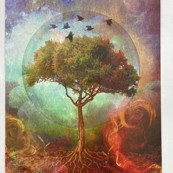 Leanin Tree Card Tree Of Life Blank