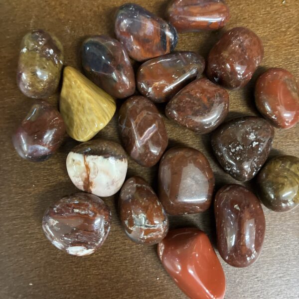 Petrified Wood Tumble