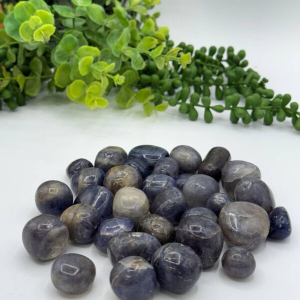 Iolite Tumbled