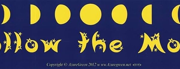 Bumper Sticker Follow The Moon