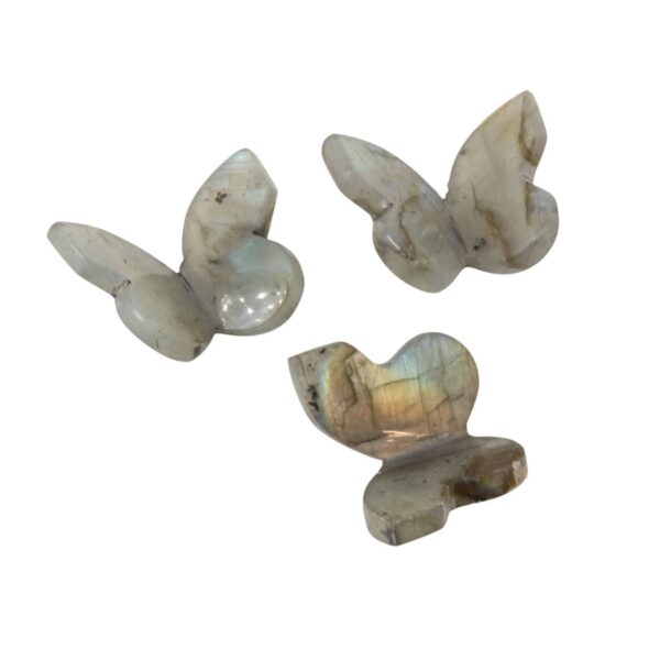Gemstone 3D Butterfly / Natural Sitting Butterfly - Labradorite