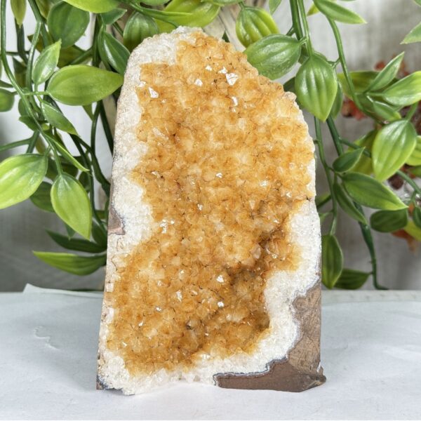 Citrine Gemstone Geode - RGD939