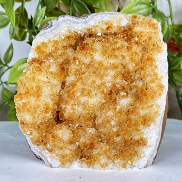 Citrine Gemstone Geode - RGD940