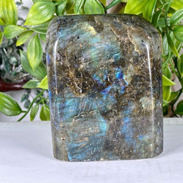 Labradorite Gemstone Freeform - RPS548