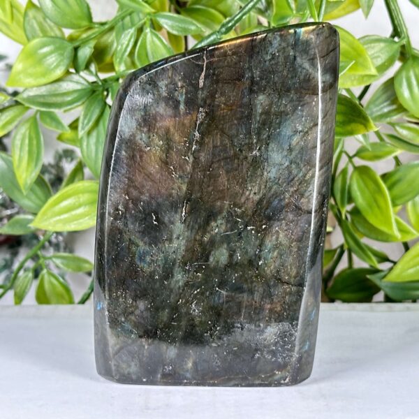 Labradorite Gemstone Freeform - RPS549