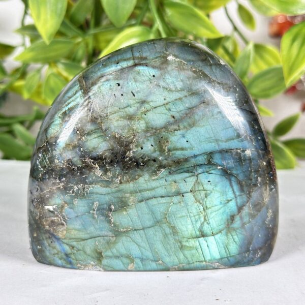 Labradorite Gemstone Freeform - RPS582