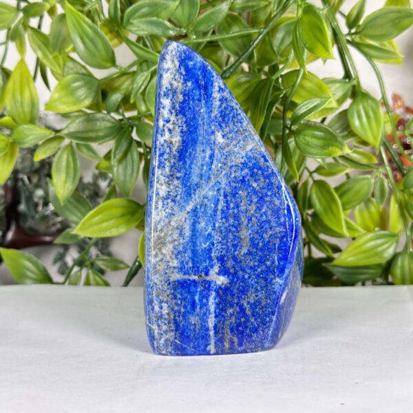 Lapis Lazuli Gemstone Freeform - RPS538