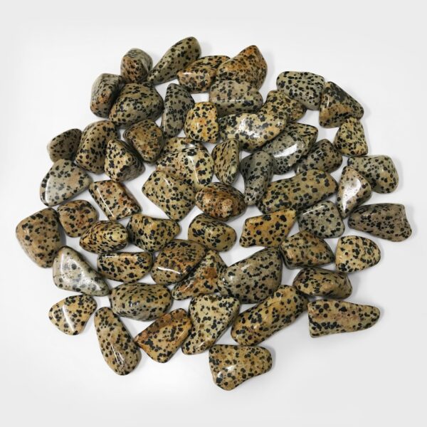 Natural Dalmatian Jasper Tumbled Stone Gemstones - 1 lb