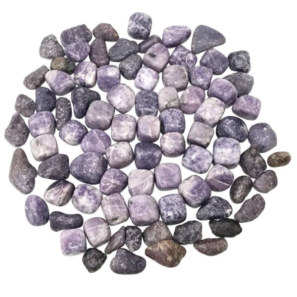 Natural Lepidolite Tumbled Stone Gemstones - 1 lb