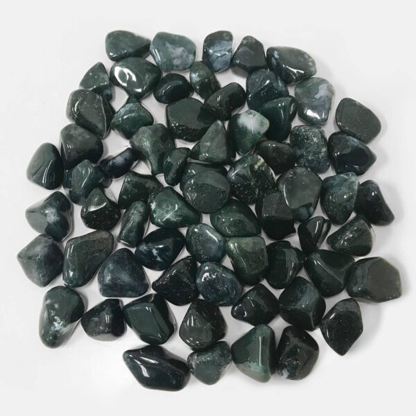 Natural Moss Agate Tumbled Stone Gemstones - 1 lb