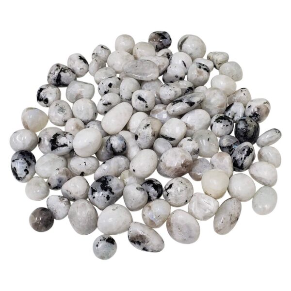 Natural Rainbow Moonstone Tumbled Stone Gemstones - 1 lb