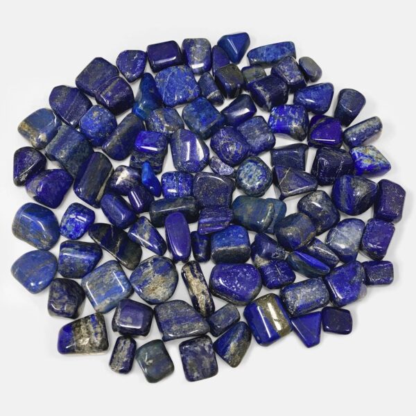 Natural Royal Blue Lapis Lazuli Tumbled Stone Gemstones - 1 lb