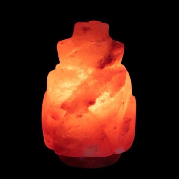 Himalayan Salt Lamp Rose