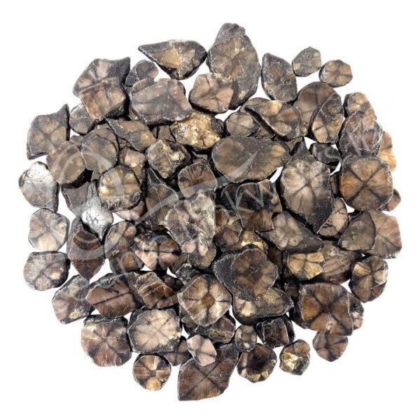 Chiastolite