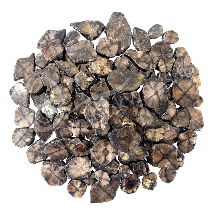 Chiastolite