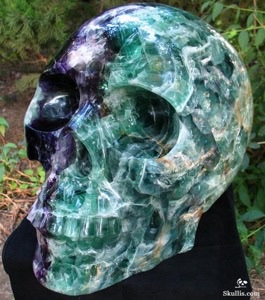 Fluorite Skull