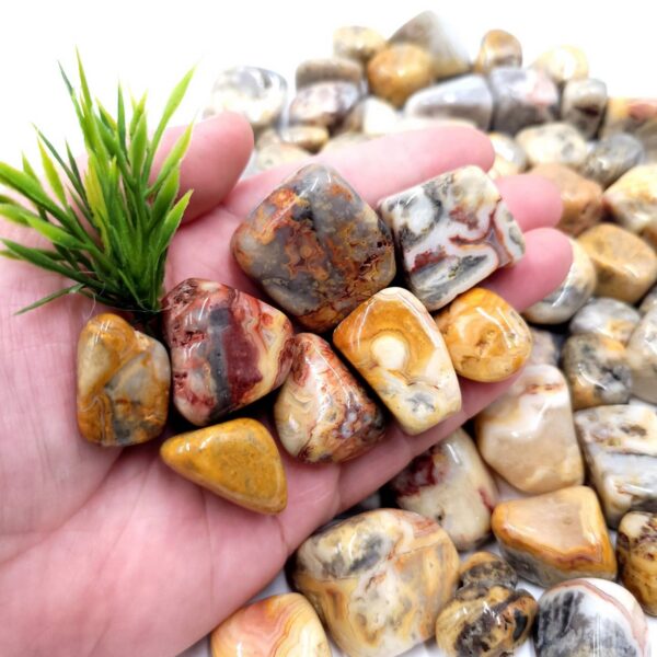 Crazy Lace Agate Tumbled