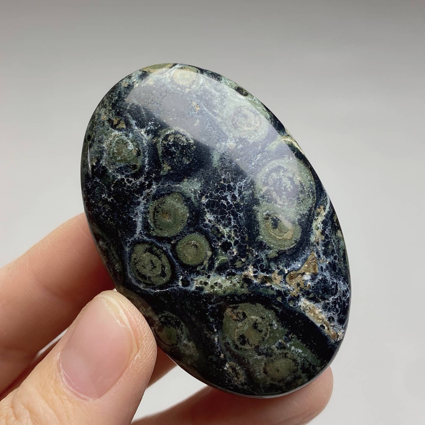 Kambala Jasper Palmstome