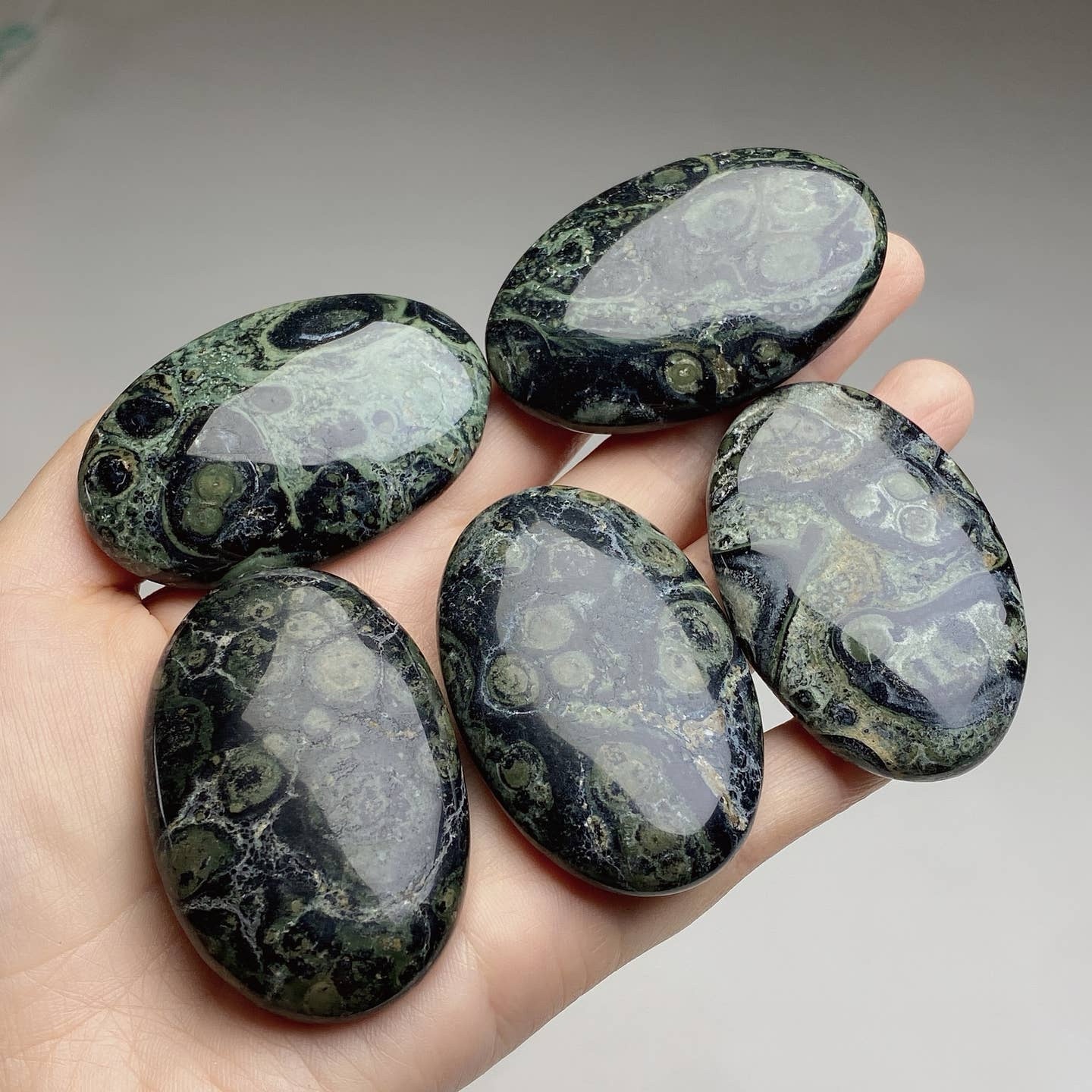 Kambala Jasper Palmstome - Image 2