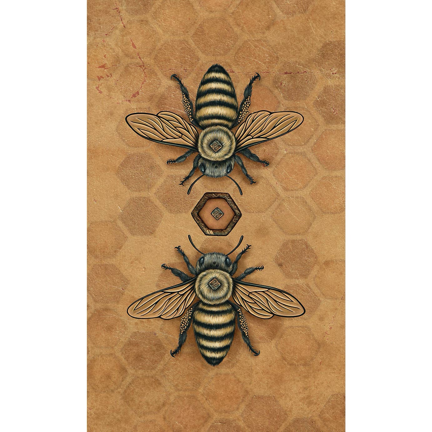 Bee Tarot - English - Image 5